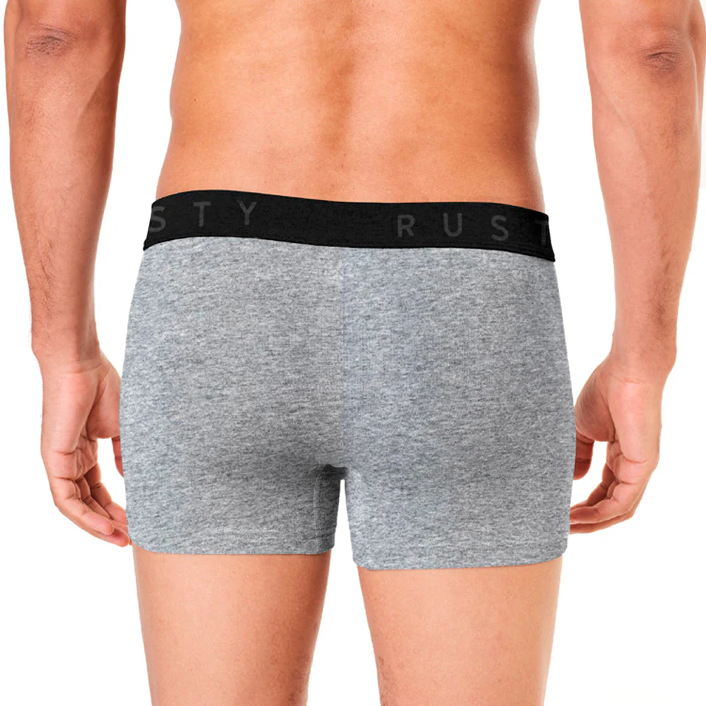 Boxer hombre Rusty Lizzy Gris Melange - Image 5