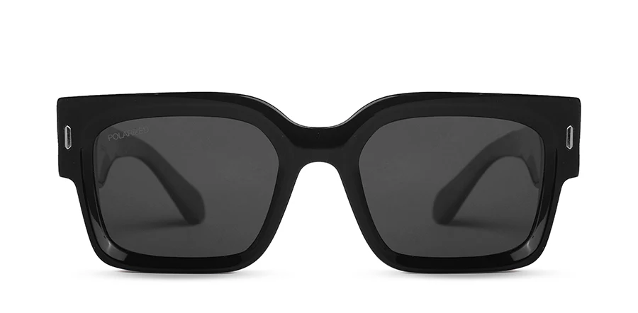 ANT BOLD LOOK / BLK C1 POLARIZED