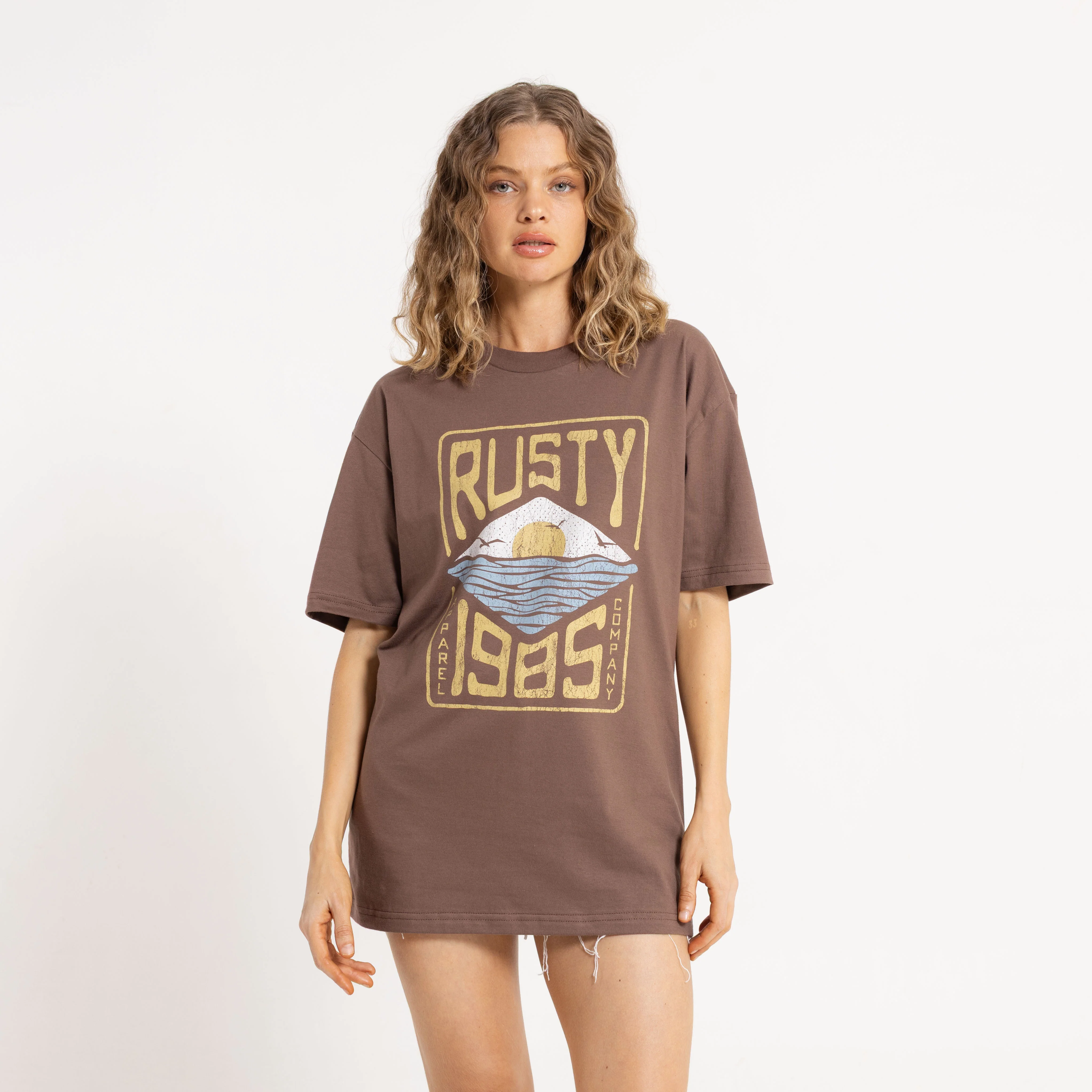 Remera Mc Rusty All In A Dream Oversize Tee Ld Pinecone - Image 4